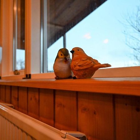 Thingvellir Cabin/Chalet Selfoss Dış mekan fotoğraf