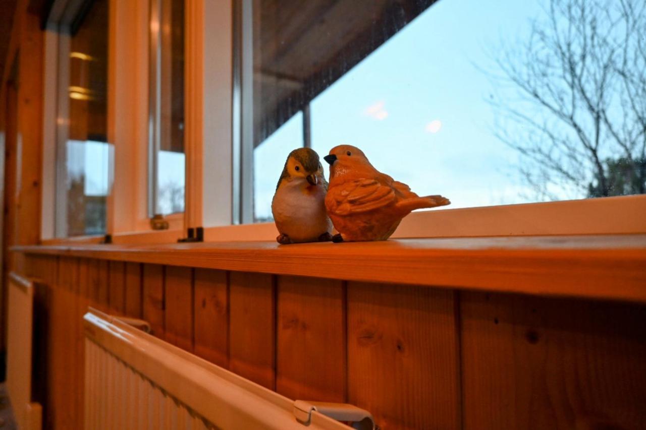 Thingvellir Cabin/Chalet Selfoss Dış mekan fotoğraf