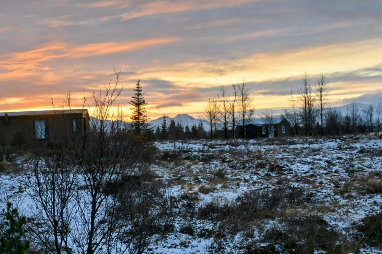 Thingvellir Cabin/Chalet Selfoss Dış mekan fotoğraf